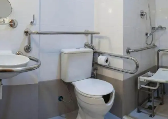 Tek Büyük Yataklı Oda, Engellilere Uygun (Acessível)