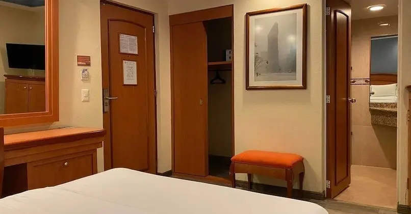 Standard Tek Büyük Yataklı Oda, 1 En Büyük (King) Boy Yatak