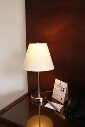 Executive Tek Büyük Yataklı Oda