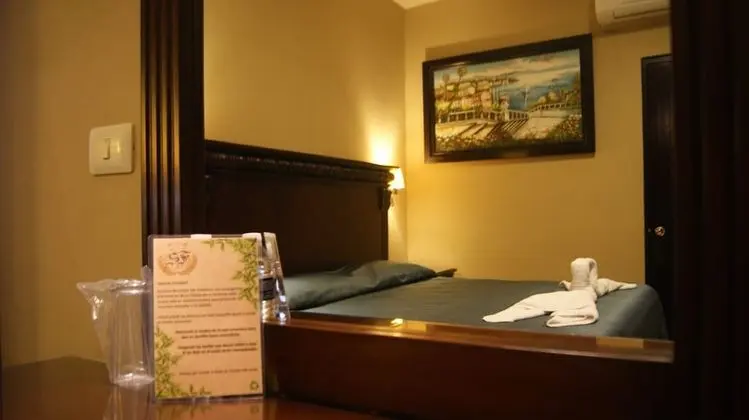 Standard Tek Kişilik Oda, 1 Çift Kişilik Yatak