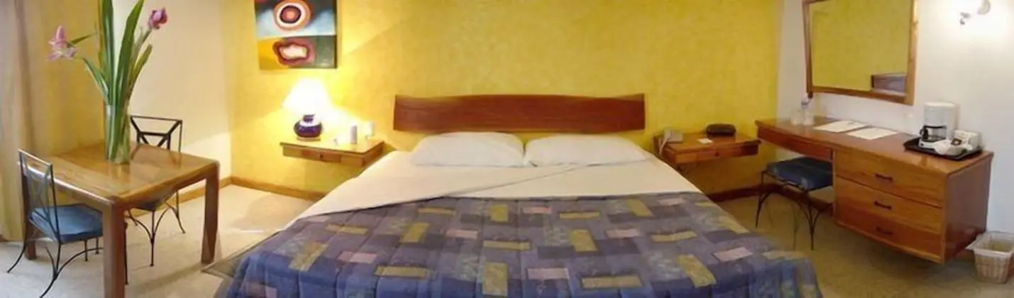 Superior Tek Büyük Yataklı Oda