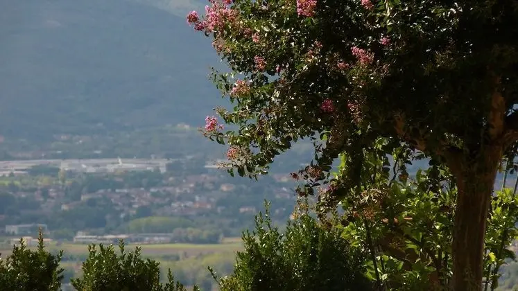 Traditional Tek Büyük Yataklı Oda, Özel Banyo, Tepe Manzaralı