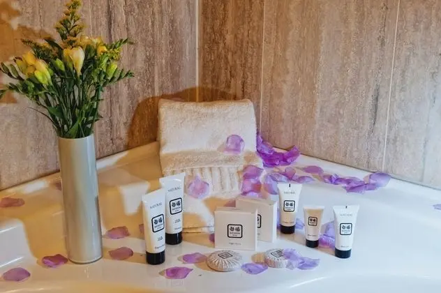 Deluxe Tek Büyük veya İki Ayrı Yataklı Oda