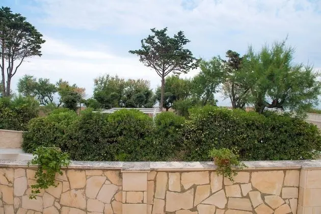 Basic Tek Büyük Yataklı Oda, Deniz Manzaralı