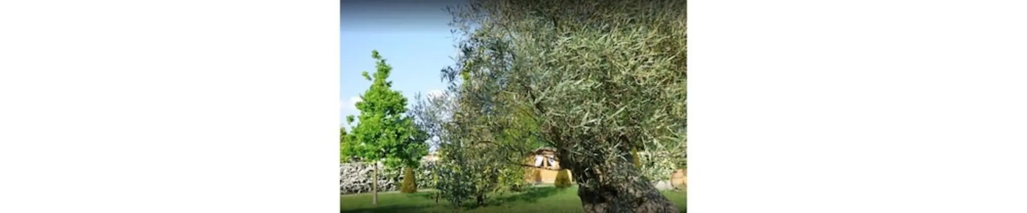 Junior Süit, Bahçe Manzaralı