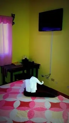 Tek Kişilik Oda