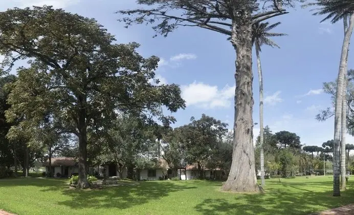 Traditional Oda, 2 Çift Kişilik Yatak, Sigara İçilmez, Bahçe Manzaralı