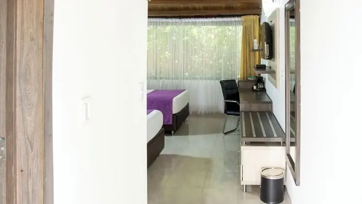 Superior Tek Büyük Yataklı Oda, 2 Çift Kişilik Yatak