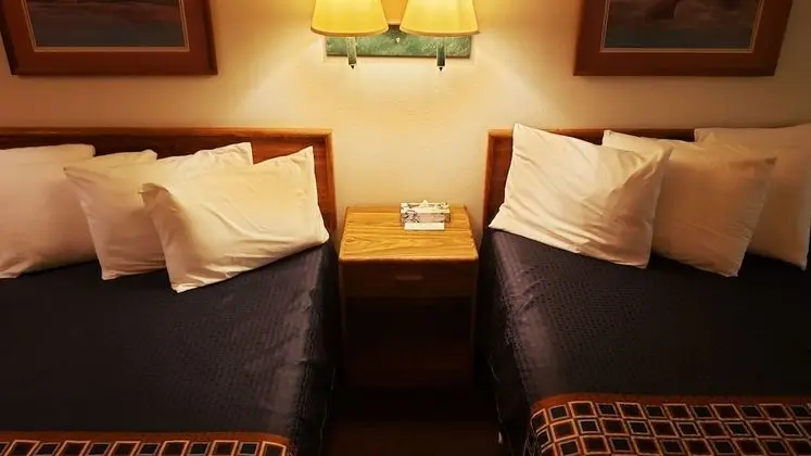 Standard Tek Büyük Yataklı Oda, 2 Büyük (Queen) Boy Yatak