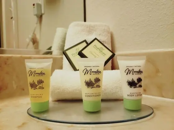 Standard Tek Büyük Yataklı Oda, 2 Büyük (Queen) Boy Yatak