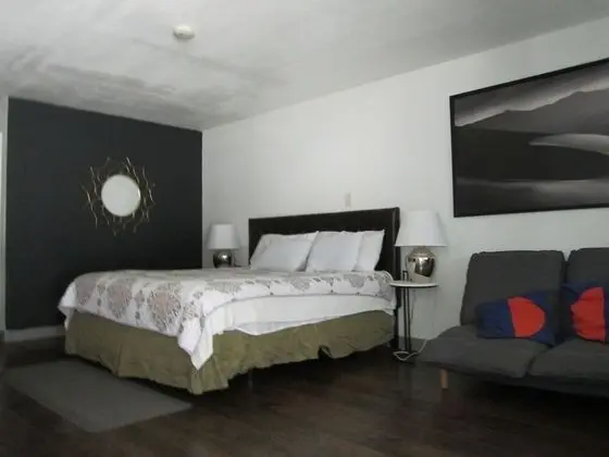 Standard Tek Kişilik Oda, 1 En Büyük (King) Boy Yatak