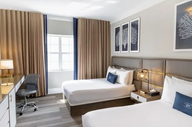 Deluxe Tek Büyük Yataklı Oda, 2 Çift Kişilik Yatak