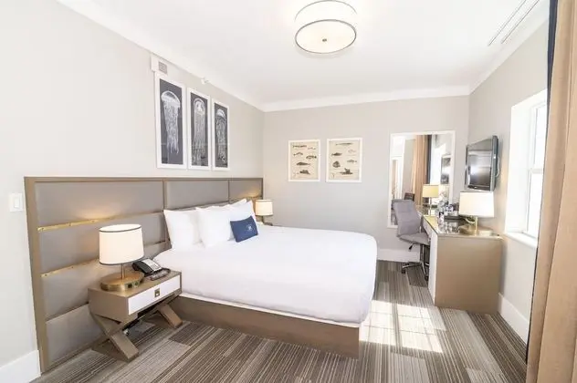 Luxury Tek Büyük Yataklı Oda, 1 En Büyük (King) Boy Yatak