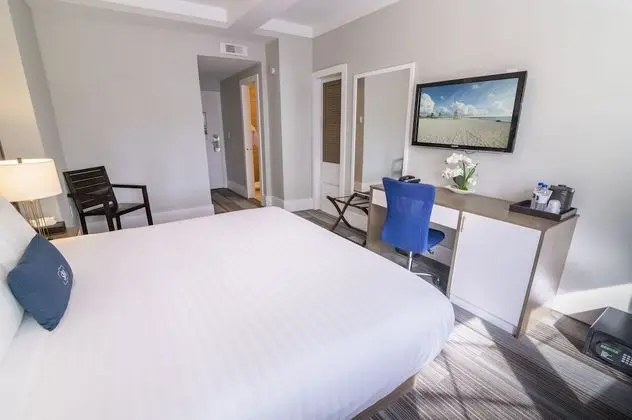 Luxury Tek Büyük Yataklı Oda, 1 En Büyük (King) Boy Yatak