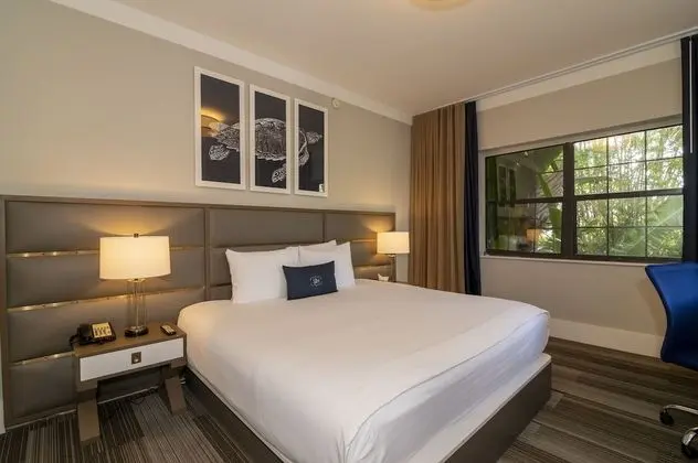 Luxury Tek Büyük Yataklı Oda, 1 En Büyük (King) Boy Yatak, Havuz Manzaralı
