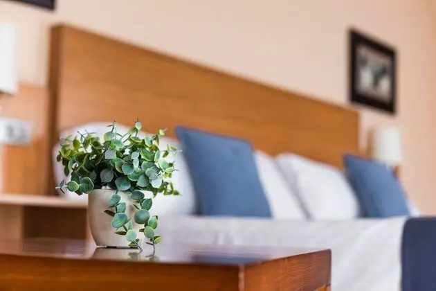 Tek Büyük Yataklı Oda (2 adults and 1 child)