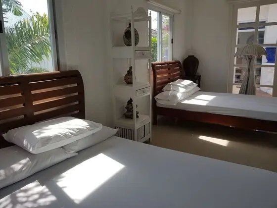 Süit