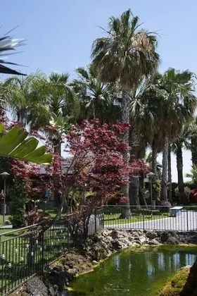 Business Tek Kişilik Oda