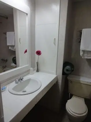 Basic Tek Büyük Yataklı Oda