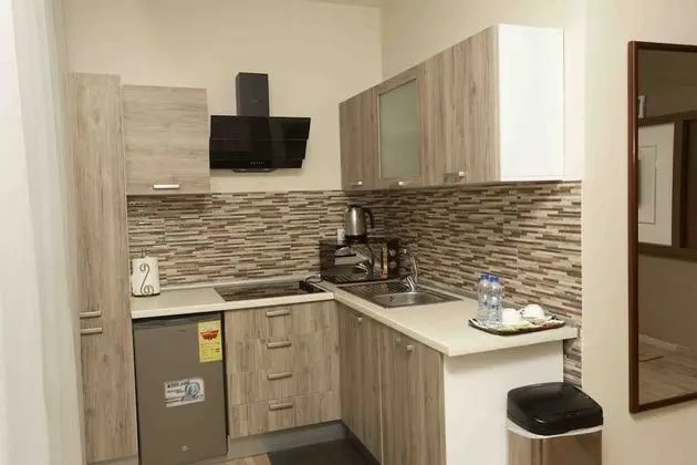 Executive Stüdyo Süit, 1 Yatak Odası, Şehir Manzaralı