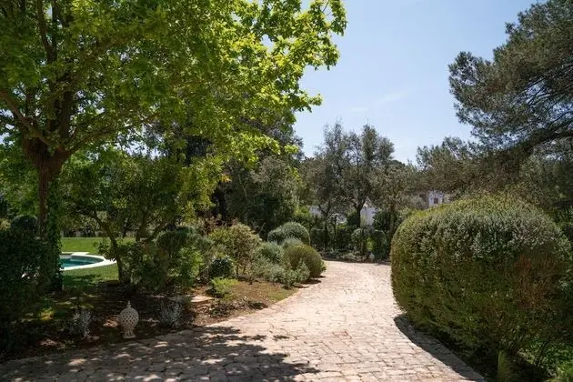 Executive Süit, 1 Büyük (Queen) Boy Yatak ve Çekyat, Engellilere Uygun, Zemin Kat (Double)