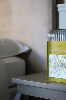 Junior Süit, 1 Çift Kişilik Yatak, Engellilere Uygun