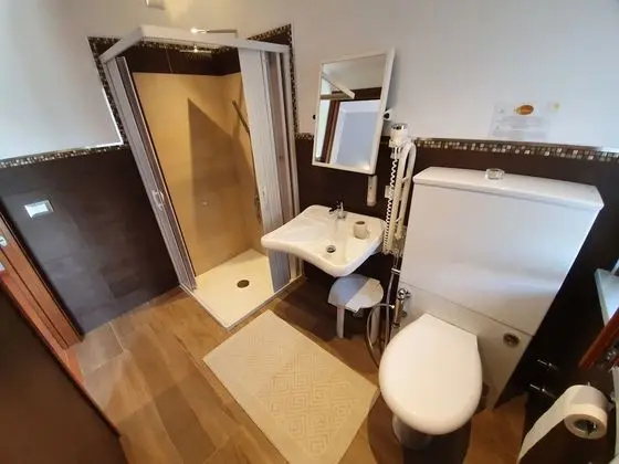 Deluxe Tek Büyük veya İki Ayrı Yataklı Oda