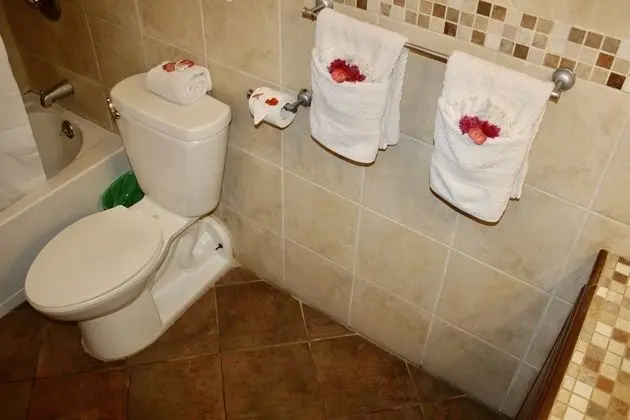 Deluxe Tek Büyük Yataklı Oda, Plaj Manzaralı, Denize Sıfır