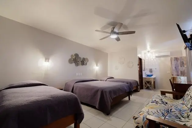 Junior Süit, Birden Çok Yatak, Plaj Manzaralı, Denize Sıfır (SPHR10)
