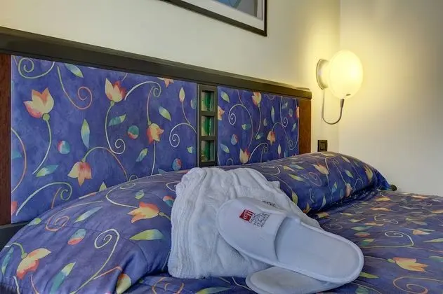 Double Room Single Use with Terrace or Balcony