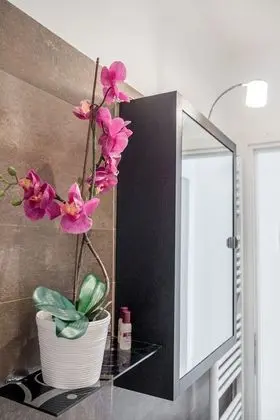Standard Apart Daire, 2 Yatak Odası (Apt 3) (check-in online))