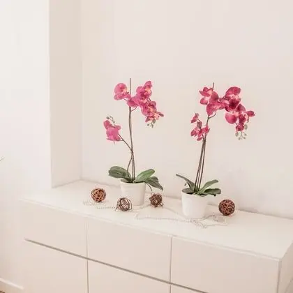 Standard Apart Daire, 2 Yatak Odası (Apt 3) (check-in online))
