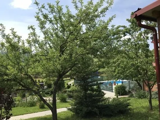 Stüdyo (San - with pool - SA4(2))