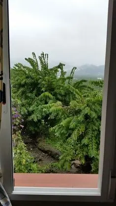 Basic Tek Kişilik Oda, Dağ Manzaralı