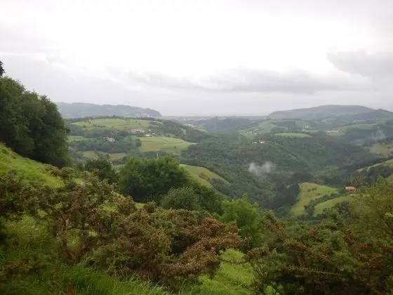 Standard Ortak Ranzalı Oda, Karma Ranzalı Oda