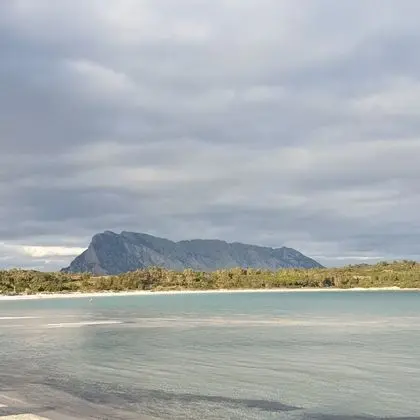 Apart Daire, 1 Yatak Odası, Sigara İçilebilir, Buzdolabı