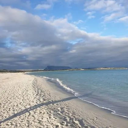 Apart Daire, 1 Yatak Odası, Sigara İçilebilir, Buzdolabı