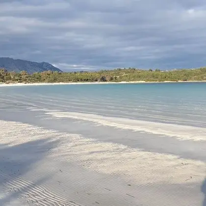 Apart Daire, 1 Yatak Odası, Sigara İçilebilir, Buzdolabı