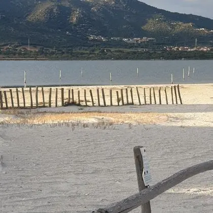 Apart Daire, 1 Yatak Odası, Sigara İçilebilir, Buzdolabı