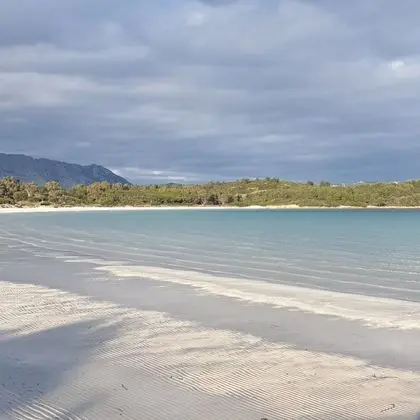 Apart Daire, 1 Yatak Odası, Sigara İçilebilir, Buzdolabı