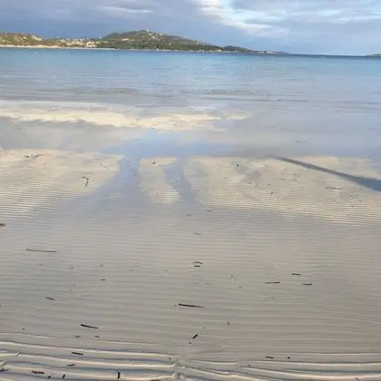 Apart Daire, 1 Yatak Odası, Sigara İçilebilir, Buzdolabı