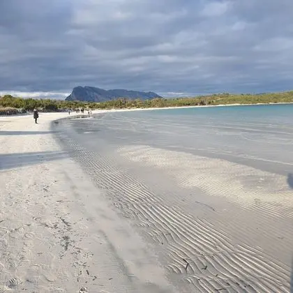 Apart Daire, 1 Yatak Odası, Sigara İçilebilir, Buzdolabı