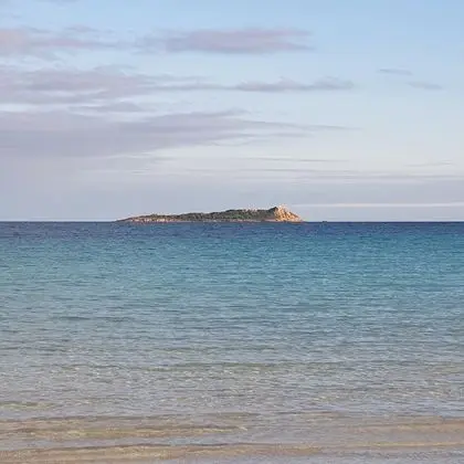 Apart Daire, 1 Yatak Odası, Sigara İçilebilir, Buzdolabı