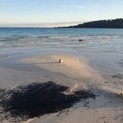 Apart Daire, 1 Yatak Odası, Sigara İçilebilir, Buzdolabı