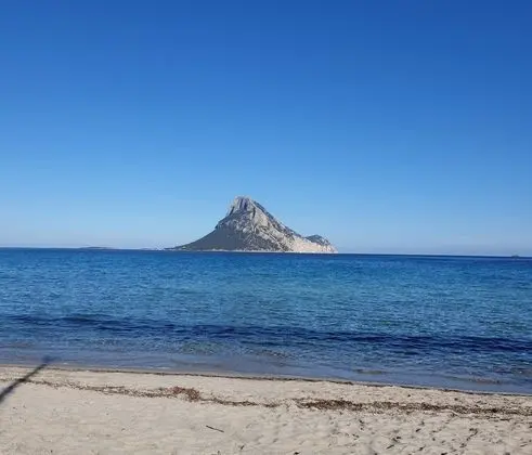 Apart Daire, 1 Yatak Odası, Sigara İçilebilir, Buzdolabı