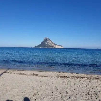 Apart Daire, 1 Yatak Odası, Sigara İçilebilir, Buzdolabı