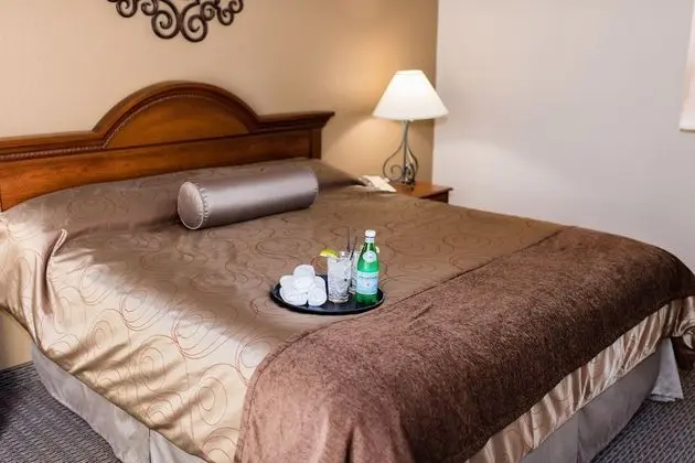 Standard Oda, 1 En Büyük (King) Boy Yatak, Golf Manzaralı