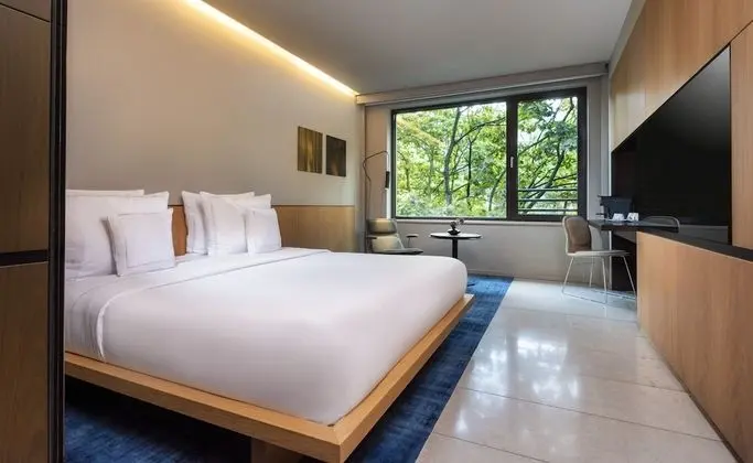 Deluxe Tek Büyük Yataklı Oda