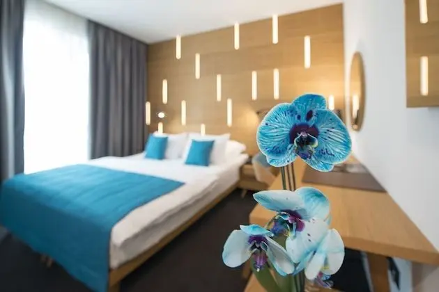 Deluxe Tek Büyük veya İki Ayrı Yataklı Oda