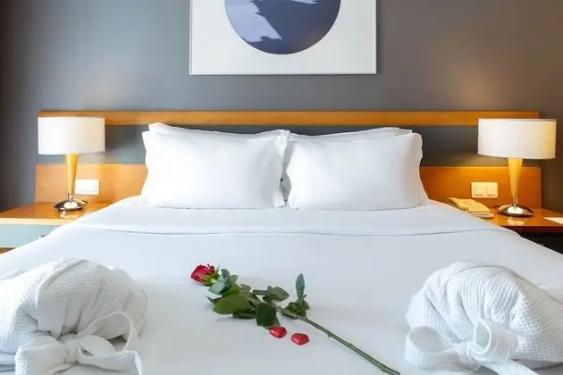Romantic Tek Büyük Yataklı Oda